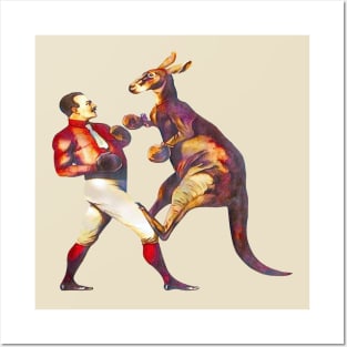 Kangaroo Boxing Posters and Art